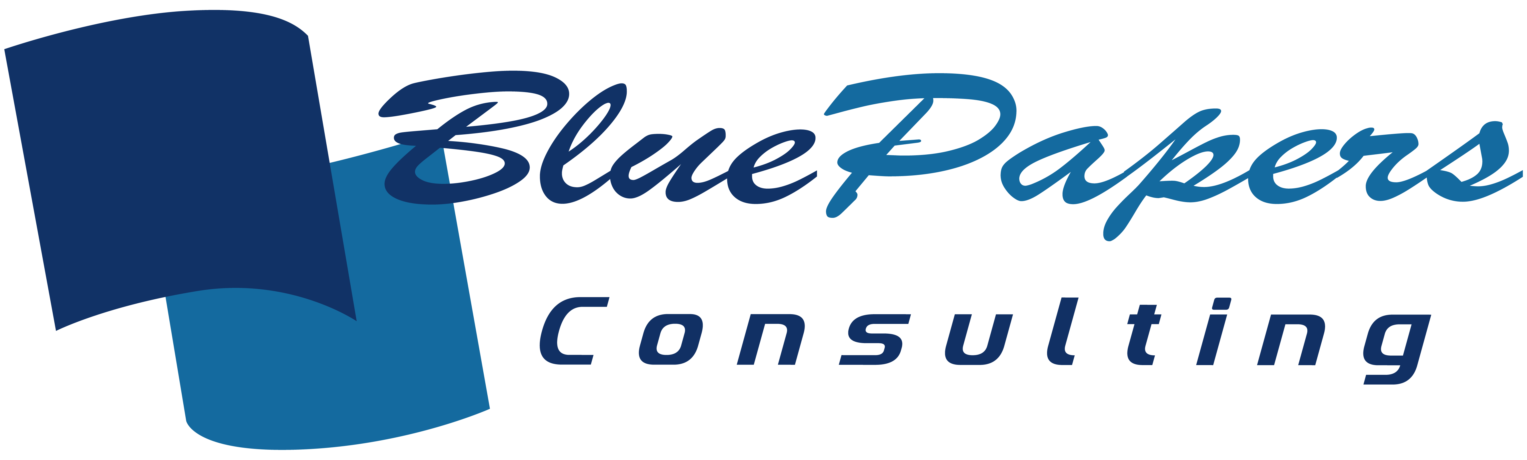 Blue Papers Consulting